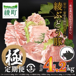 【ふるさと納税】国産 豚肉 ブランド 豚 綾ぶどう豚 よりどり 詰め合わせ 3か月 定期便 セット 指定月 中旬 お届け ロース スライス 生姜