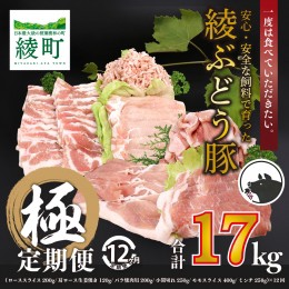 【ふるさと納税】国産 豚肉 ブランド 豚 綾ぶどう豚 よりどり 詰め合わせ 12か月 定期便 セット 毎月 中旬 お届け ロース スライス 生姜