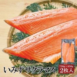 【ふるさと納税】魚 鮭 切身 いみずサクラマス 2枚入(約750g〜約850g)おつまみ 弁当 サーモン グルメ 食品/富山県射水市