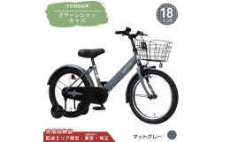 18インチ 子供用 自転車 アナと雪の女王の通販｜au PAY マーケット