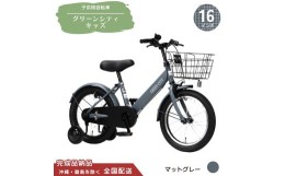 自転車】ディズニー幼児車 カーズ 16インチ レッド | 子供用