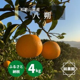 【ふるさと納税】BL6113n_【産地直送】和歌山県産 八朔 4kg (M〜3Lサイズ)