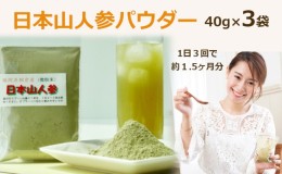 【ふるさと納税】★希少★日本山人参パウダー40g×3袋