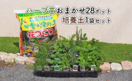 【ふるさと納税】ハーブ苗 28ポット 培養土 20L 1袋 セット ガーデニング 植物 インテリア ガーデニングショップ四季の里