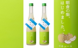 【ふるさと納税】梨梅酒 500ml×2本