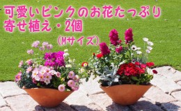 【ふるさと納税】可愛いピンクのお花たっぷりの寄せ植え（舟形Mサイズ）2個