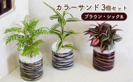 【ふるさと納税】カラーサンド 3個 セット ブラウン・シック系 植物 インテリア ガーデン