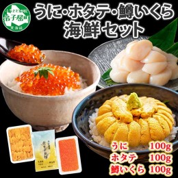 【ふるさと納税】2939. うに チリ産 冷凍 100g 鱒いくら醤油漬け 100g ホタテ 100g セット ウニ 雲丹 いくら イクラ ますいくら ほたて  