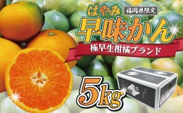 【ふるさと納税】【2024年9月中旬より順次発送】JAむなかたブランドみかん【姫の神】（早味かん）約5kg[F2281]