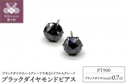 【ふるさと納税】トータル0.7ct【AAA】ブラックダイヤモンドピアス （HRAC-0070）