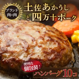 【ふるさと納税】土佐あかうしと四万十ポークのハンバーグ　１０個セット