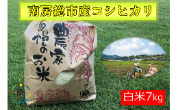 【ふるさと納税】【令和5年産】南房総市産コシヒカリ7kg mi0018-0013