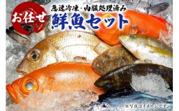 【ふるさと納税】急速冷凍・内臓処理済み　お任せ鮮魚セット mi0051-0007