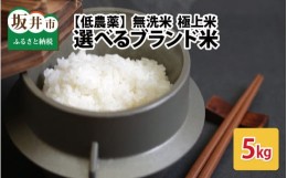 【ふるさと納税】【令和5年産】【低農薬】福井県産 極上無洗米 5kg　《こしひかり》 [A-8802_01]