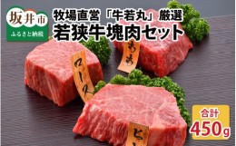 【ふるさと納税】牧場直営「牛若丸」厳選 若狭牛塊肉セット 計450g  [B-1852]