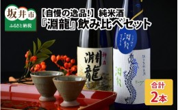 【ふるさと納税】【自慢の逸品！】純米酒『淵龍』 720ml × 2本 飲み比べセット 【純米酒 純米生原酒  飲み比べ セット 詰合せ 地酒 日本