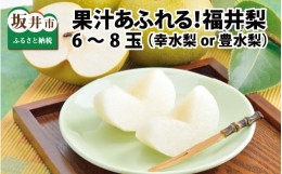 【ふるさと納税】【先行予約】「福井梨」6〜8玉 シャキっとした食感♪ あふれ出す果汁！【豊水梨】【2024年9月上旬〜9月下旬発送予定】【