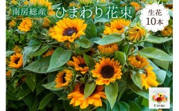 【ふるさと納税】南房総産 生花（ひまわり）花束 10本 mi0070-0001