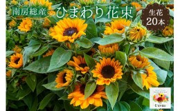 【ふるさと納税】南房総産 生花（ひまわり）花束 20本 mi0070-0002