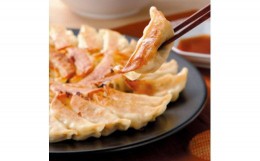 【ふるさと納税】【中華チェーン福しん】おうちで福しん餃子チャレンジセット（餃子４８０個）