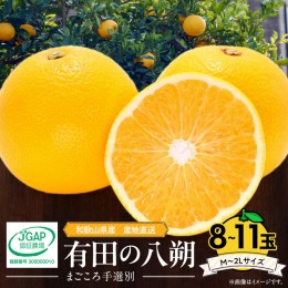 【ふるさと納税】ZE6356n_【先行予約】和歌山県産 有田の 八朔 (はっさく) 8〜11玉 M〜2Lサイズ【まごころ手選別】