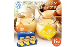 【ふるさと納税】高知プリン亭 美味しい定番商品 詰め合わせセット かためプリン なめらかプリン 2種 6個入り レトロ プリン ぷりん 固め