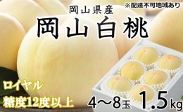 【ふるさと納税】桃 2024年 先行予約 岡山 白桃 ロイヤル 4〜8玉 約1.5kg JA おかやま のもも（早生種・中生種） もも モモ 岡山県産 国