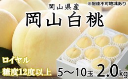 【ふるさと納税】桃 2024年 先行予約 岡山 白桃 ロイヤル 5〜10玉 約2kg JA おかやま のもも（早生種・中生種） もも モモ 岡山県産 国産