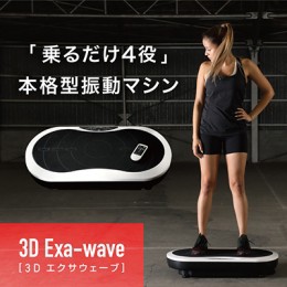 【ふるさと納税】スキマ時間に本格エクササイズ 振動マシン 3D Exa-wave（3Dエクサウェーブ）_1970R