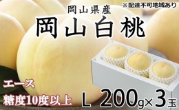 【ふるさと納税】桃 2024年 先行予約 岡山 白桃 エース 3玉×約200g（Lサイズ） JAおかやまのもも（早生種・中生種） もも モモ 岡山県産