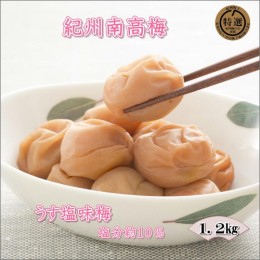 【ふるさと納税】【家庭用】紀州南高梅　うす塩味梅　1.2ｋｇ