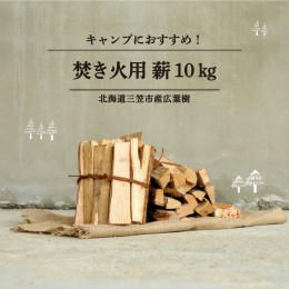 【ふるさと納税】≪キャンプにおすすめ！≫薪（広葉樹）キャンプストーブ・焚き火用 約10kg【01120】