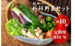 【ふるさと納税】越知産市の季節の野菜セット(年2回発送)　産地直送　旬野菜