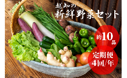 【ふるさと納税】越知産市の季節の野菜セット(年4回発送)　産地直送　旬野菜