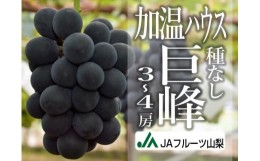 【ふるさと納税】JAフルーツ山梨 甲州市産ハウス種なし巨峰3〜4房【80】【2024年発送】C-105