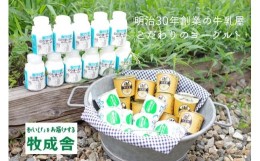 【ふるさと納税】明治30年創業の牛乳屋の牛乳屋の飛騨産生乳で作る　ヨーグルト盛りだくさんセット