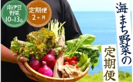 【ふるさと納税】海まち野菜セット 2ヶ月の定期便　【 野菜 やさい きのこ 山菜 セット 定期 旬 定期便 人気 詰め合わせ 2ヵ月 おまかせ 