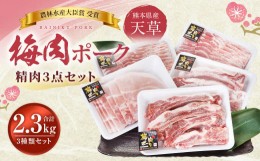 【ふるさと納税】天草梅肉ポーク 精肉3点セット 約2.3kg 焼肉 バーベキュー 豚バラ もも スペアリブ