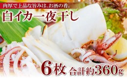 【ふるさと納税】刺身より美味しい！白いか一夜干　6枚【白いか 干物 60〜80g 6枚 一夜干し 一夜干 ケンサキイカ 剣先イカ 真イカ 肉厚 