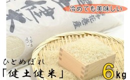 【ふるさと納税】岩手花巻産「健土健米」ひとめぼれ 6kg 【111】