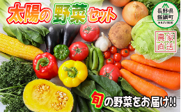 【ふるさと納税】野菜 太陽の野菜セット 【 季節ごと旬の野菜 】 配送先は本州限定 2024年6月中旬頃から2024年11月上旬頃まで順次発送予