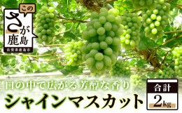 【ふるさと納税】D-17 【先行予約】 佐賀県鹿島市産 シャインマスカット 約２ｋｇ