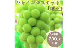 【ふるさと納税】岡山県 勝央町産 シャインマスカット 700g以上 （1房）_【8月発送】_A10