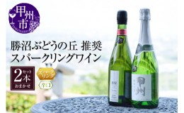 【ふるさと納税】勝沼ぶどうの丘推奨スパークリングワイン辛口2本セット B2-604【甲州 ワイン お酒 スパークリングワイン 甲州ワイン 日