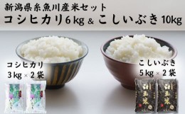 【ふるさと納税】新潟県産『コシヒカリ』6kgと『こしいぶき』10kgのセット 糸魚川産 美味しいお米の食べ比べ 白米 令和5年産 木島米穀店