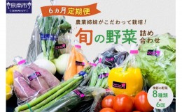 【ふるさと納税】農業姉妹がこだわって栽培！旬の野菜の詰め合わせ8種 半年定期便【024B-004】