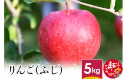 【ふるさと納税】りんご (ふじ)  5kg 山形県産 フルーツ 果物 リンゴ 林檎 【2024年12月上旬〜12月下旬に順次発送予定】