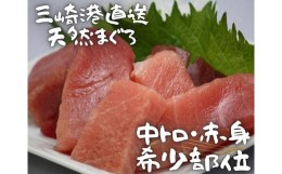 【ふるさと納税】A12-030 【三崎港直送】天然マグロお刺身セット（中トロ赤身・希少部位）