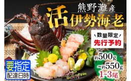 【ふるさと納税】熊野灘産活伊勢海老　御浜コース 1〜3尾 約500〜550g 先行予約 魚介 伊勢えび 伊勢海老 海老 えび 活き 三重県 御浜町 