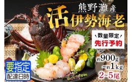 【ふるさと納税】熊野灘産活伊勢海老　黒潮コース 2〜5尾 約900g〜1kg 先行予約 魚介 伊勢海老 伊勢えび 海老 えび 活き 三重県 御浜町 